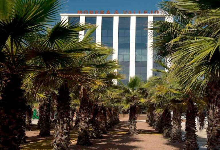 Morera-Vallejo-II-palmeras